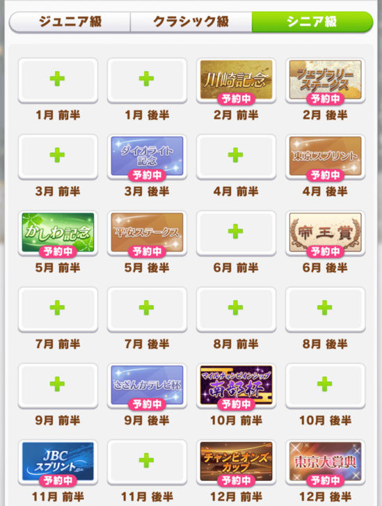 Dirt Sprint Medium Race Senior