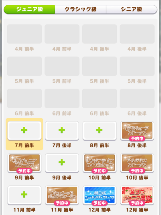 Dirt Turf Mile Long Race Junior