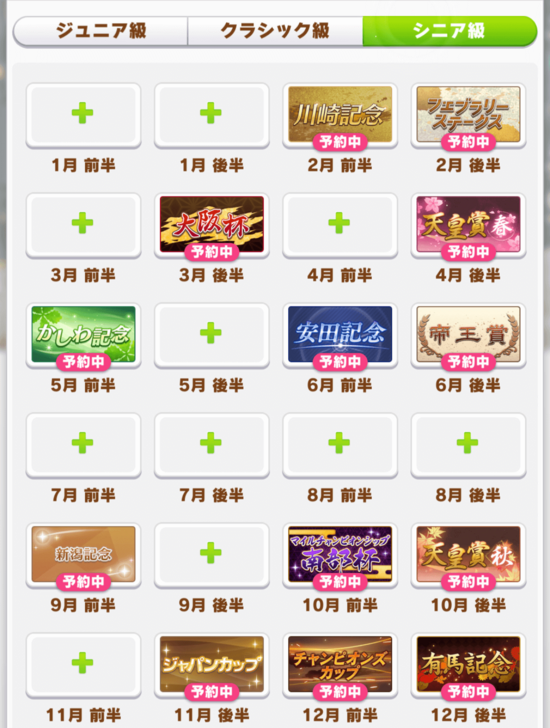 Dirt Turf Mile Long Race Senior