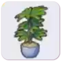 Tall potted plant