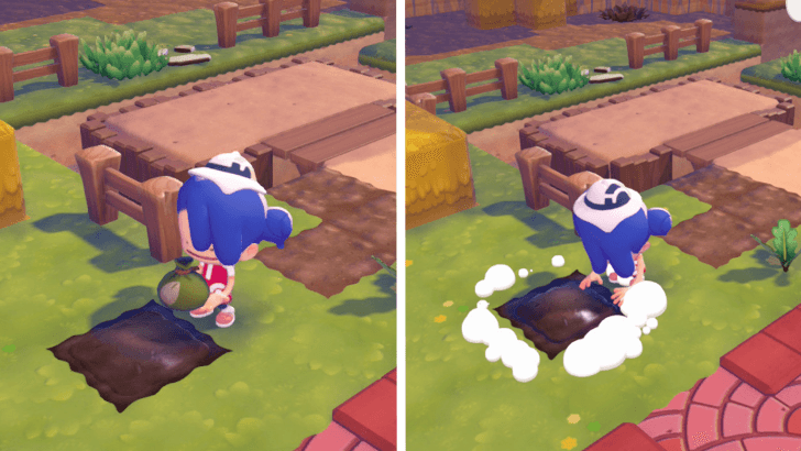 Pokemon Pokopia - Plant Seeds