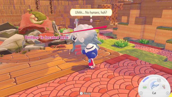 Pokemon Pokopia - Drillbur Location