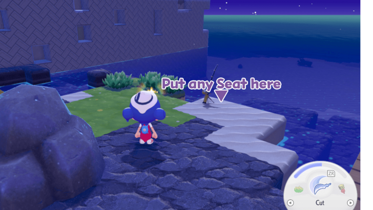 Pokemon Pokopia - Put Any Seat