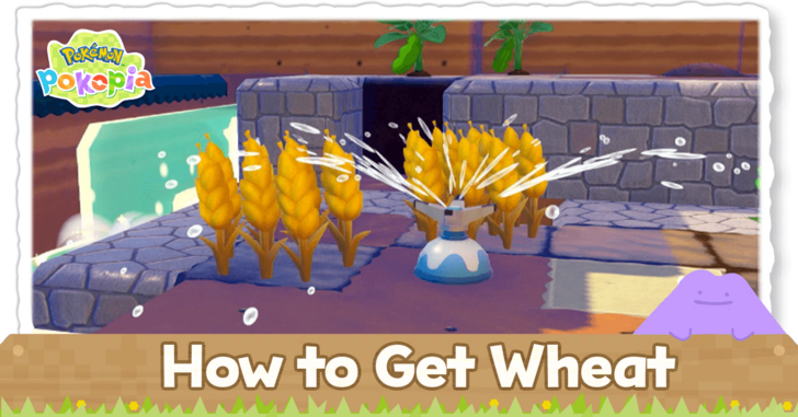 Pokemon Pokopia - How to Get Wheat