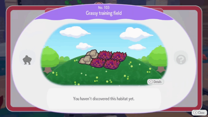 Grassy Training Field