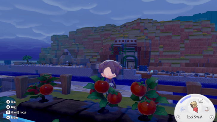 Bleak Beach Tomatoes