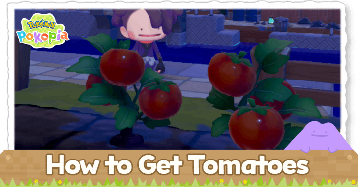Pokemon Pokopia - How to Get Tomatoes