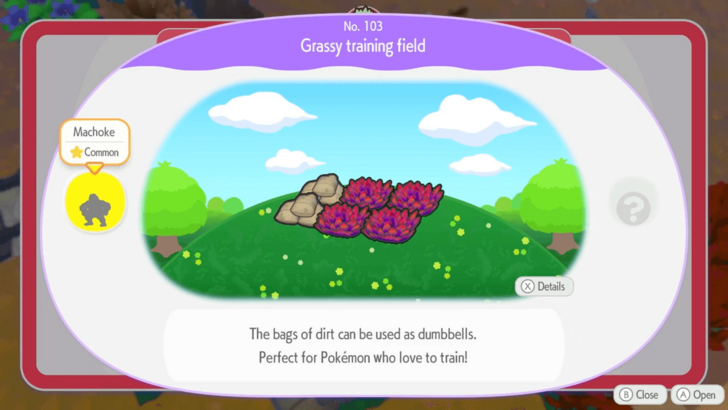 Pokemon Pokopia - Grassy Training Field