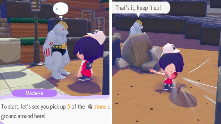 Pokemon Pokopia - Gather Stones