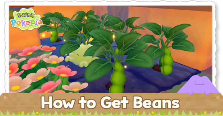 Pokemon Pokopia - How to Get Beans