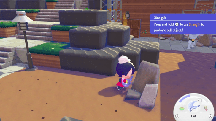 Pokemon Pokopia - Hold A in Front of Objects