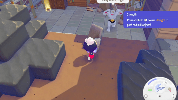 Pokemon Pokopia - Push and Pull Objects