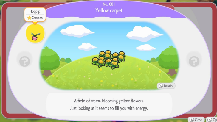 Yellow Carpet Event Habitat