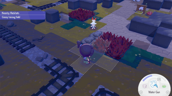 Grassy Training Field habitat