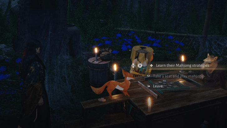 Talk to the Veiled Woman