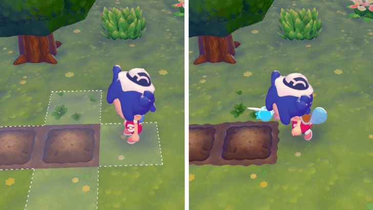 Pokemon Pokopia - Water Seeds