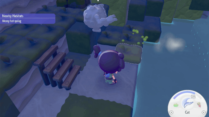 Examine the swaying moss