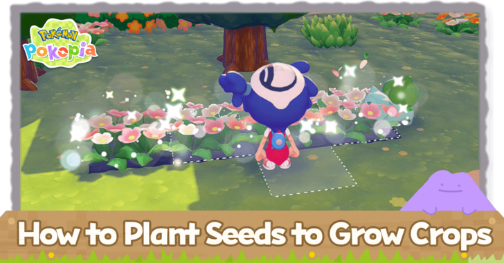 Pokemon Pokopia - How to Plant Seeds to Grow Crops