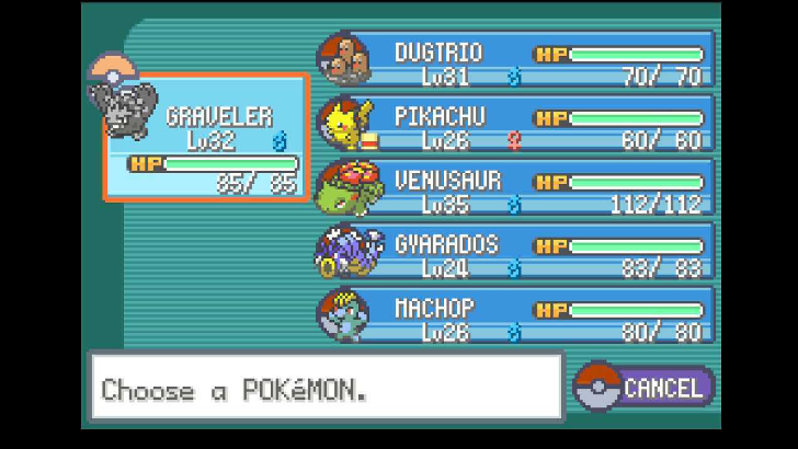 Pokemon Party Screen