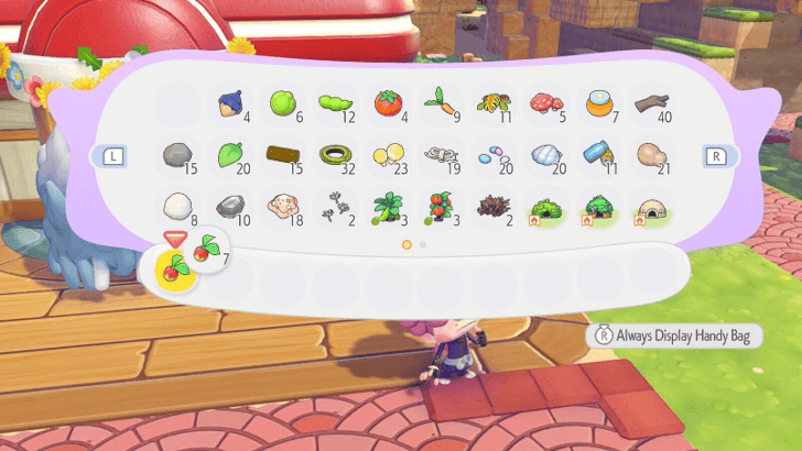 Placing Items in the Hand Bag