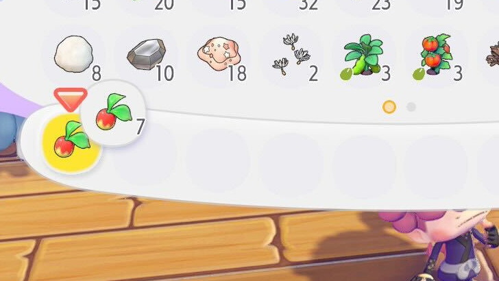 Handy Bag as Extra Inventory Space