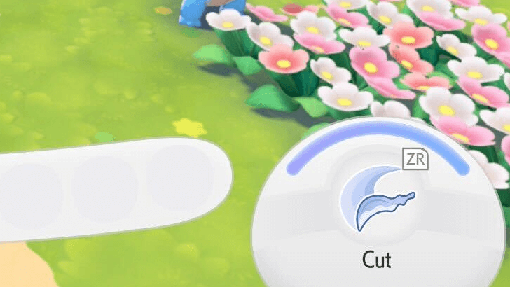 Moves cannot be switched