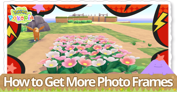Pokemon Pokopia - How to Get More Photo Frames