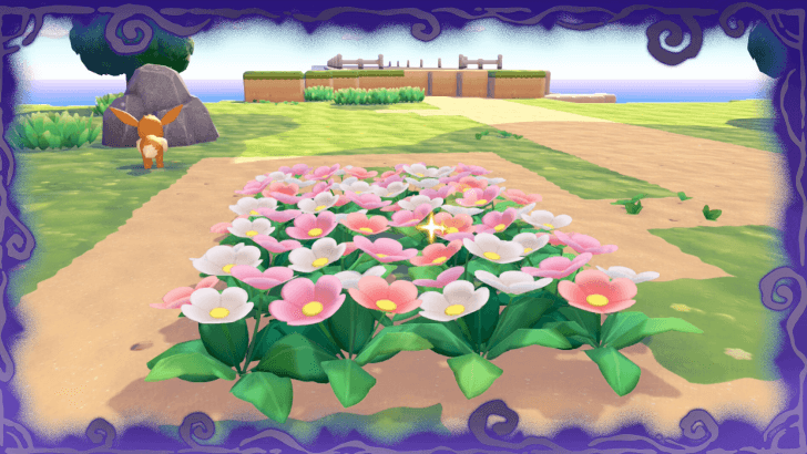 Pokopia - Mysterious Frame