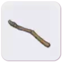 Wing Fossil (Right Wing)