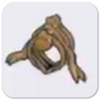 Despot Fossil (Body)