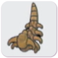 Headbutt Fossil (Tail)