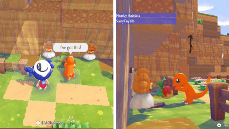 Pokemon Pokopia - Eat the Offering