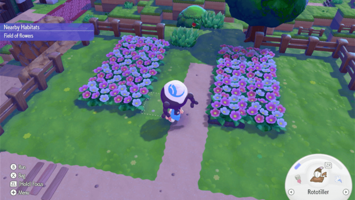 Two Fields of Flowers Habitats