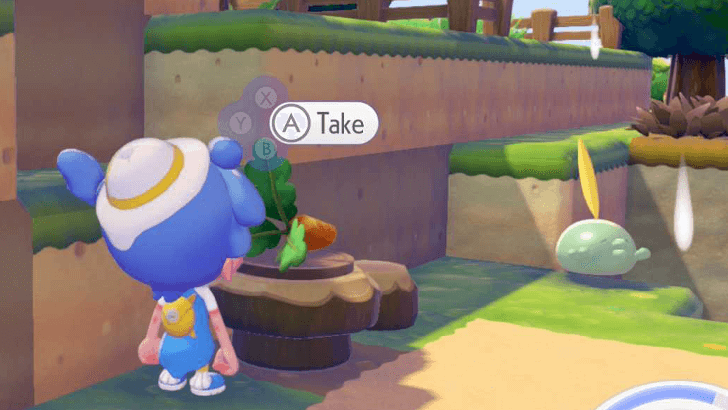 Fresh carrots, please