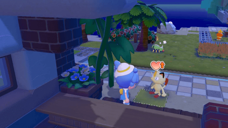 Flowers in the planter