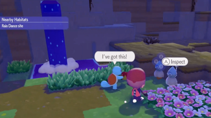 Castform Dolls are Required for the Rain Dance Party Quest