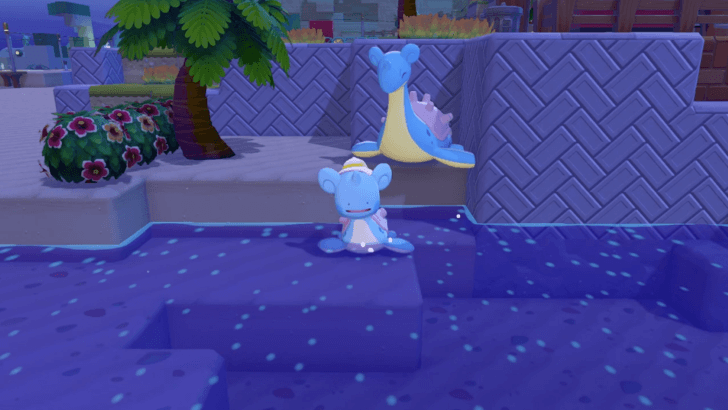 Learn the Surf Abillity