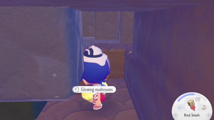 Pokopia - Remove All Light Sources