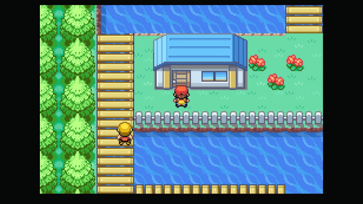Super Rod Fishing Guru in Route 12