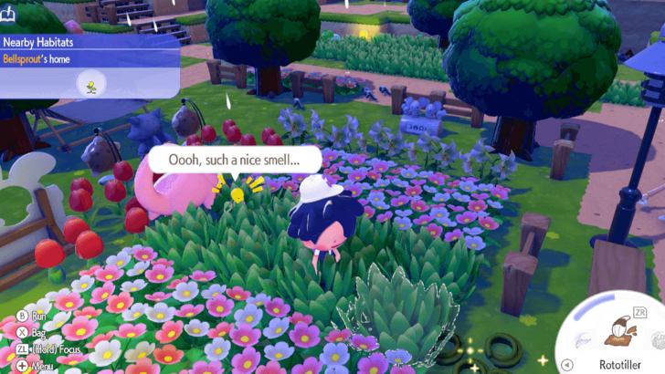 Used Honey to Find Pokemon