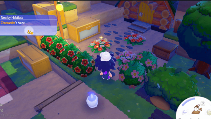 Inspect Flower Patches for Honey