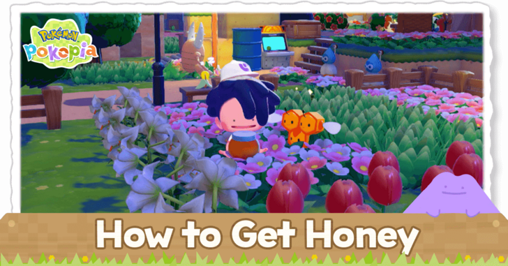 Pokemon Pokopia - How to Get Honey