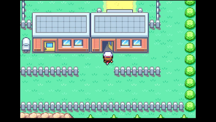 Talk to the Fishing Guru in Fuchsia City