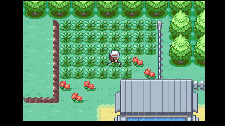 Search for Pokemon in Tall Grass