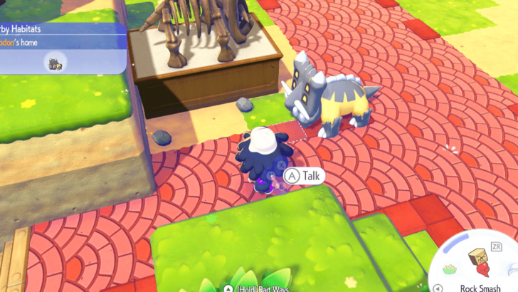 Dropped by Rock Type Pokemon