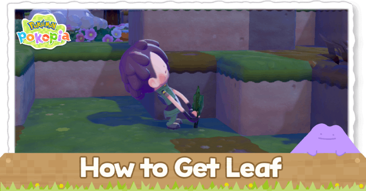 Pokemon Pokopia - How to Get Leaf