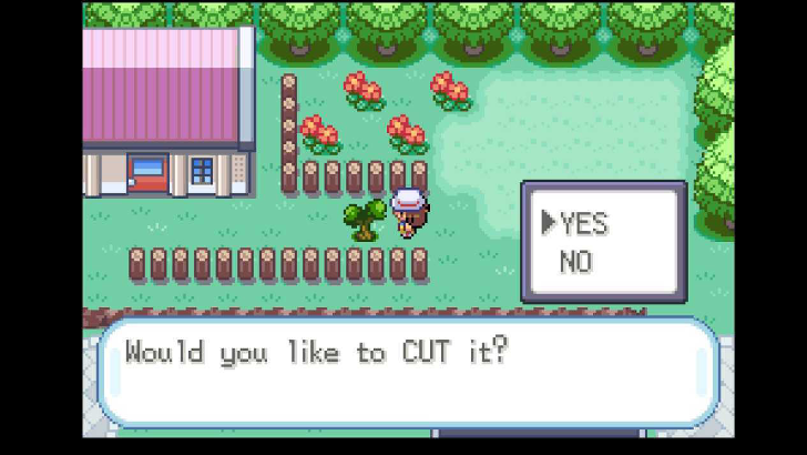 Use Cut to Reach the Back of the Pewter City Museum