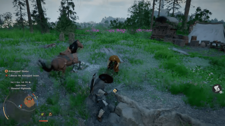 Rescue the Kidnapped Healer