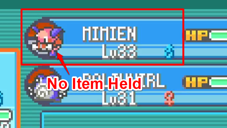 No Item Held