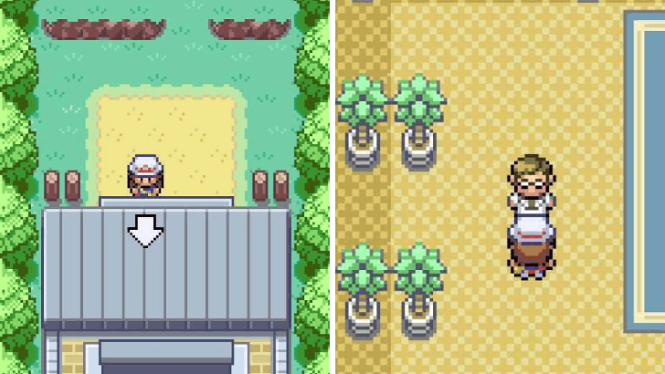 Professor Oak Aide in Route 2 - Flash